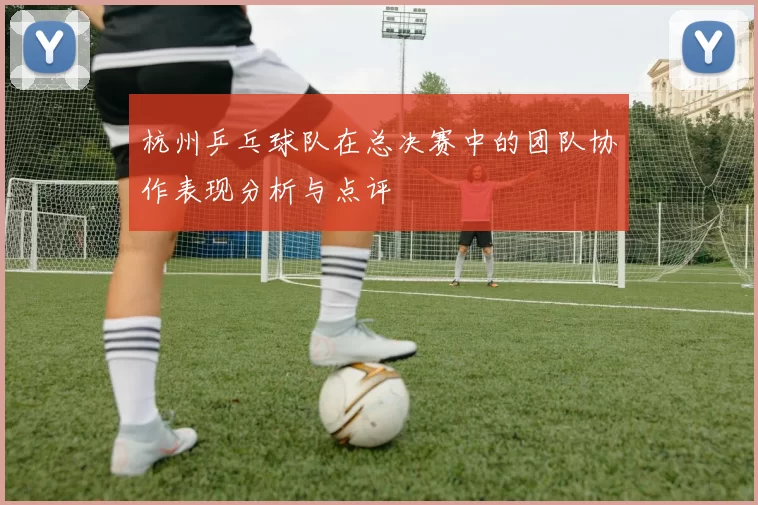 杭州乒乓球队在总决赛中的团队协作表现分析与点评