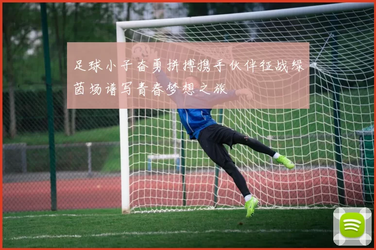 足球小子奋勇拼搏携手伙伴征战绿茵场谱写青春梦想之旅