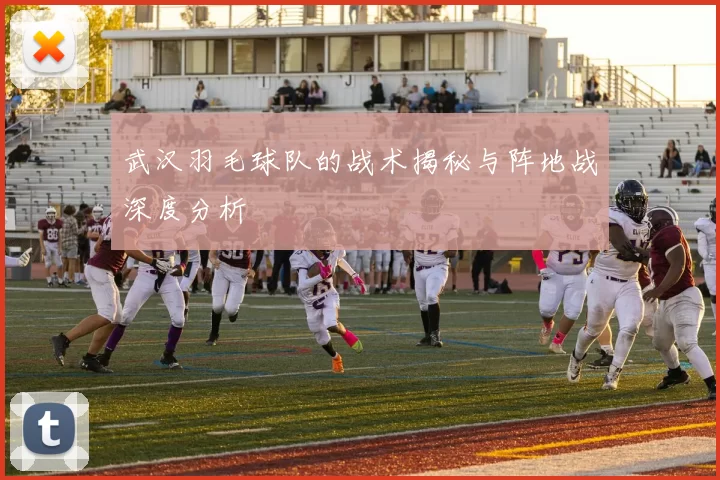 武汉羽毛球队的战术揭秘与阵地战深度分析