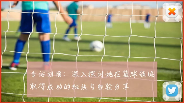 专访刘丽：深入探讨她在篮球领域取得成功的秘诀与经验分享