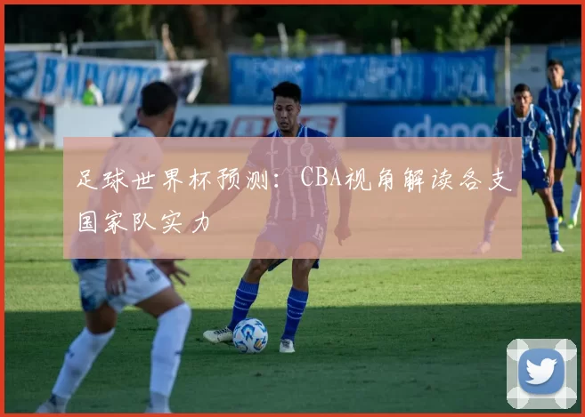 足球世界杯预测：CBA视角解读各支国家队实力