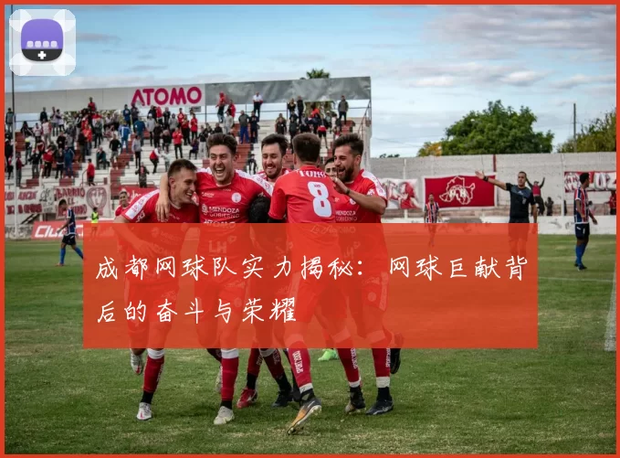 成都网球队实力揭秘：网球巨献背后的奋斗与荣耀