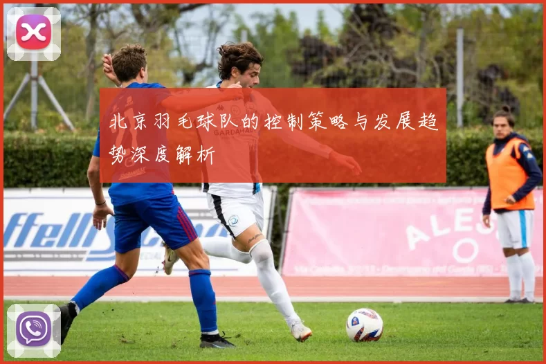 北京羽毛球队的控制策略与发展趋势深度解析