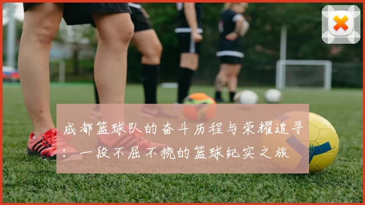 成都篮球队的奋斗历程与荣耀追寻：一段不屈不挠的篮球纪实之旅
