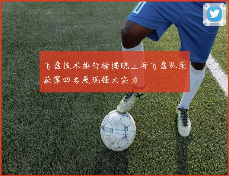 飞盘技术排行榜揭晓上海飞盘队荣获第四名展现强大实力