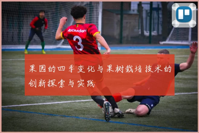 果园的四季变化与果树栽培技术的创新探索与实践