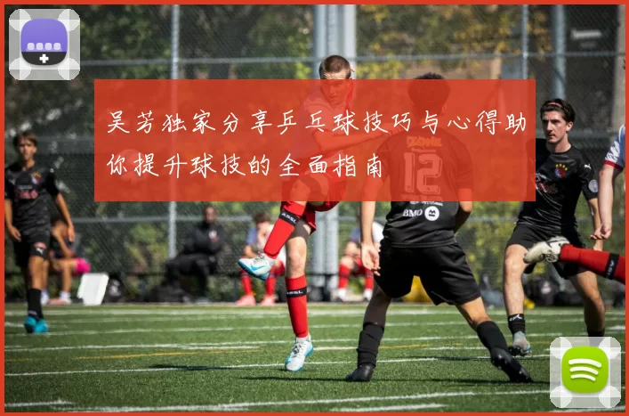 吴芳独家分享乒乓球技巧与心得助你提升球技的全面指南