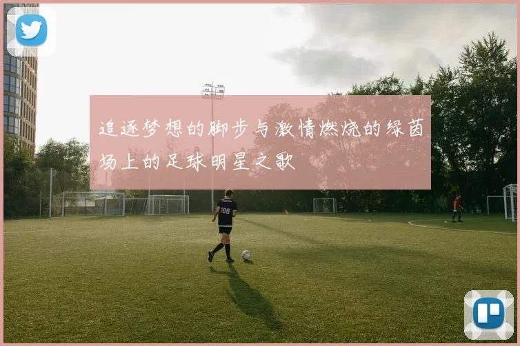 追逐梦想的脚步与激情燃烧的绿茵场上的足球明星之歌