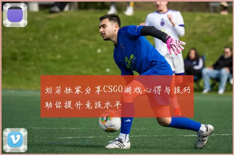 刘芳独家分享CSGO游戏心得与技巧助你提升竞技水平