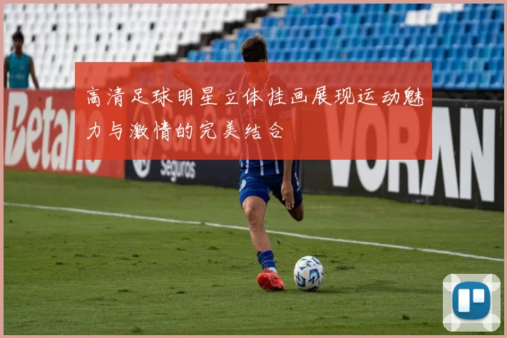 高清足球明星立体挂画展现运动魅力与激情的完美结合