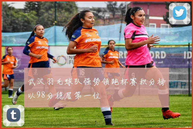 武汉羽毛球队强势领跑杯赛积分榜以98分稳居第一位
