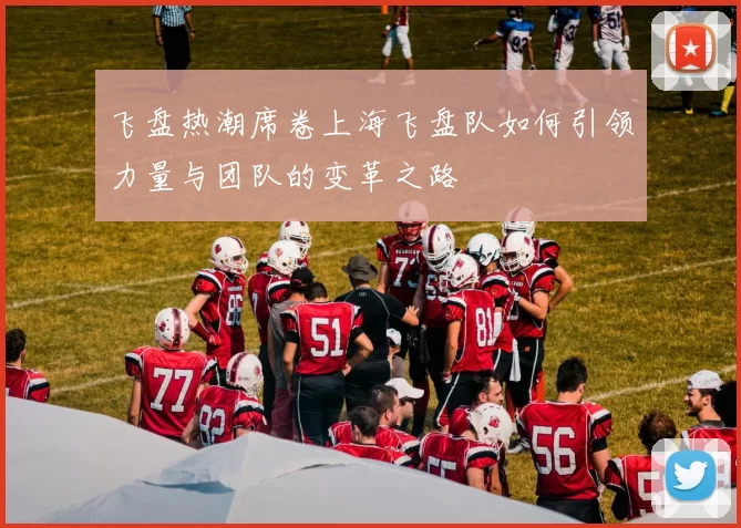飞盘热潮席卷上海飞盘队如何引领力量与团队的变革之路