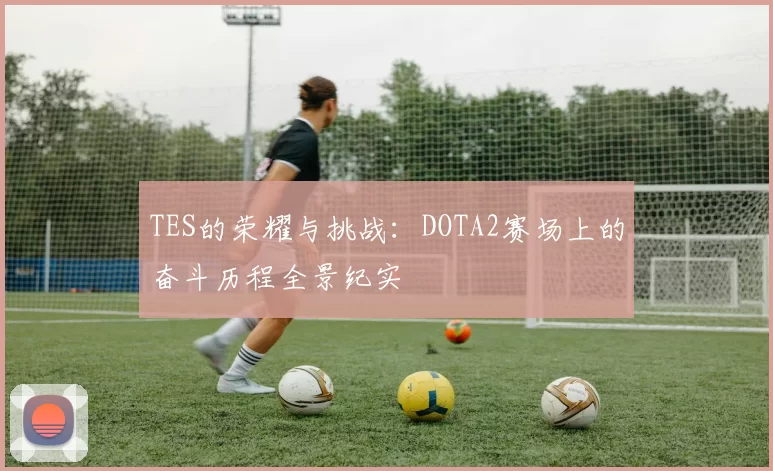 TES的荣耀与挑战：DOTA2赛场上的奋斗历程全景纪实