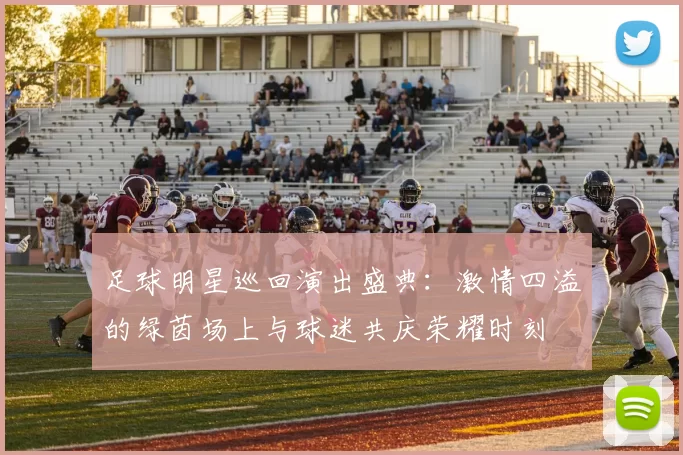 足球明星巡回演出盛典：激情四溢的绿茵场上与球迷共庆荣耀时刻