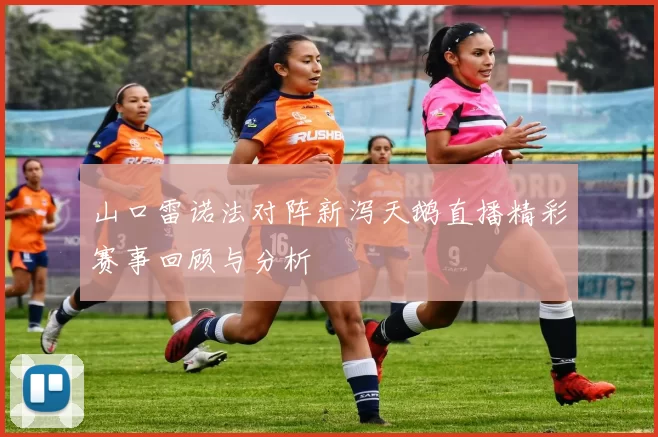 山口雷诺法对阵新泻天鹅直播精彩赛事回顾与分析