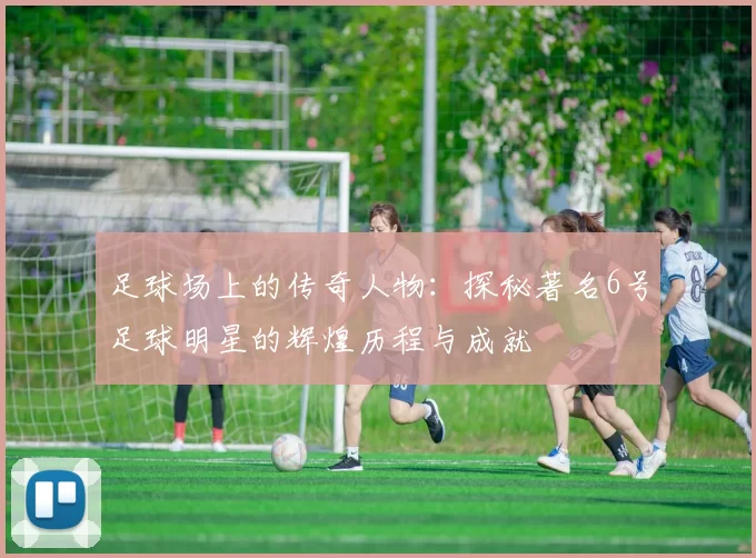 足球场上的传奇人物：探秘著名6号足球明星的辉煌历程与成就