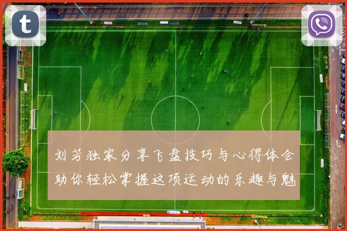 刘芳独家分享飞盘技巧与心得体会助你轻松掌握这项运动的乐趣与魅力