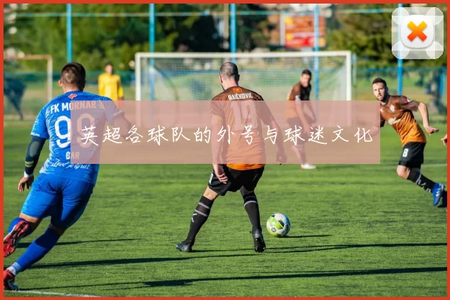 英超各球队的外号与球迷文化